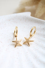 Charger l&#39;image dans la galerie, Boucles Concha
