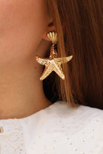 Charger l'image dans la galerie, Boucles étoiles de mer
