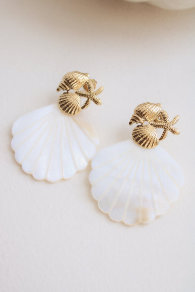 Boucles coquilles