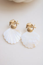 Charger l&#39;image dans la galerie, Boucles coquilles
