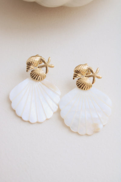Boucles coquilles